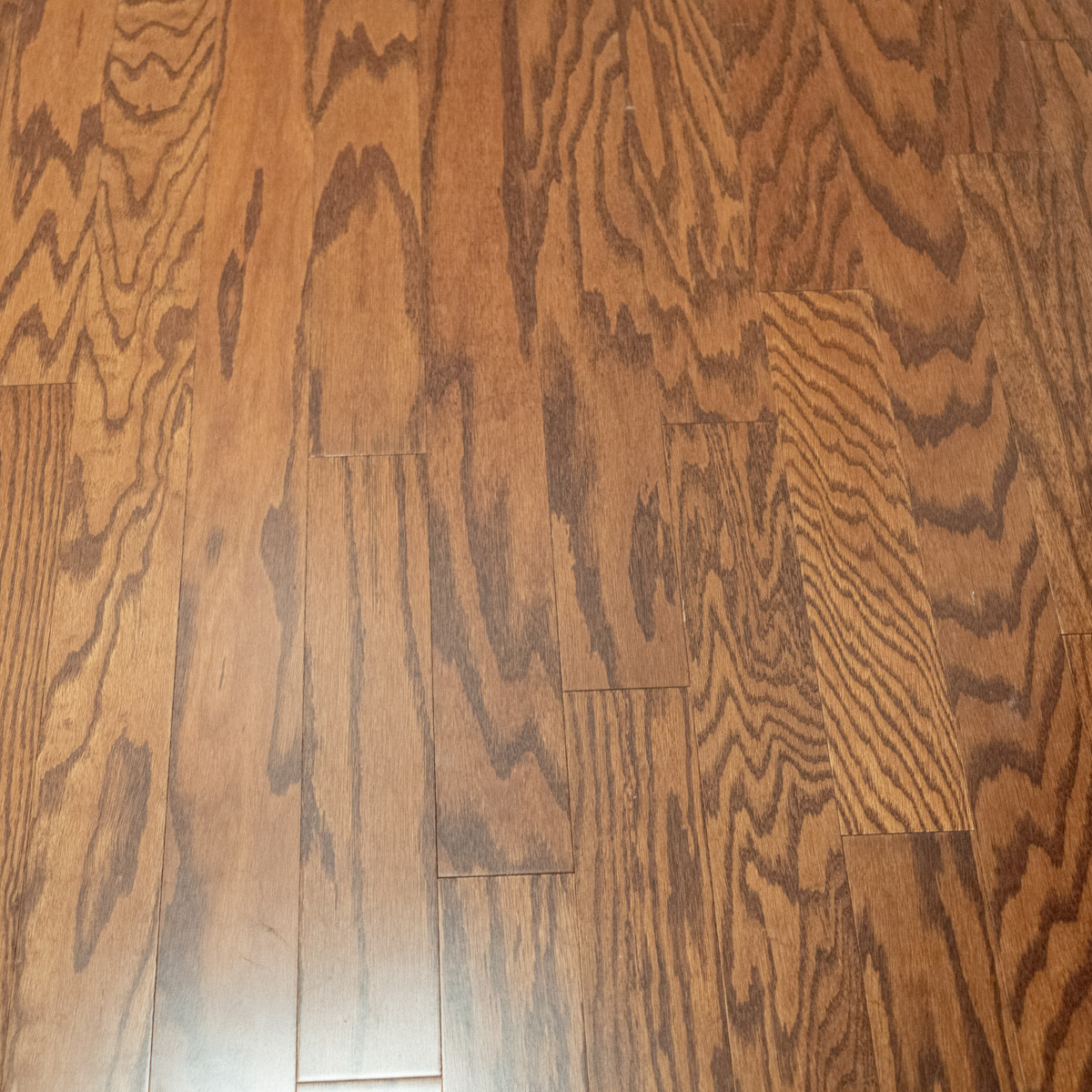 Residential and commercial renovations in the greater Lakeland and Plant City area